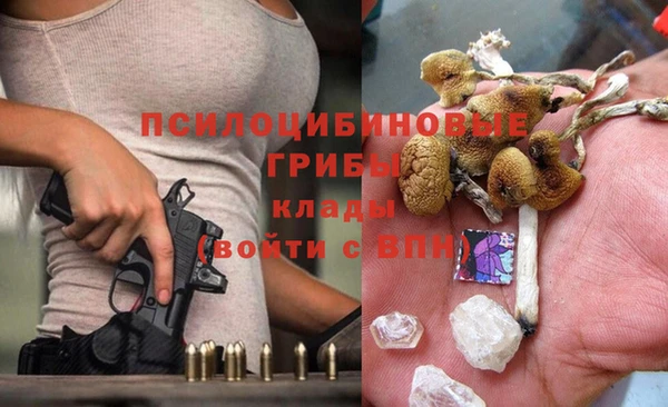 a pvp Богородицк