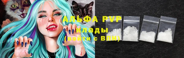 тгк Новодвинск