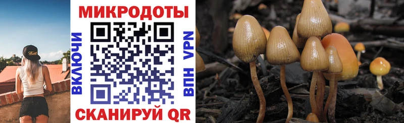 Галлюциногенные грибы мицелий  как найти   Туран 